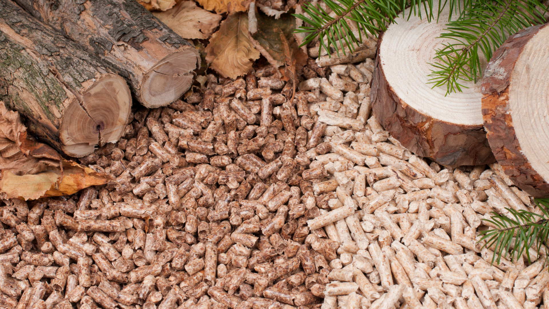 Legno, pellet e carbone Legno, pellet e carbone
